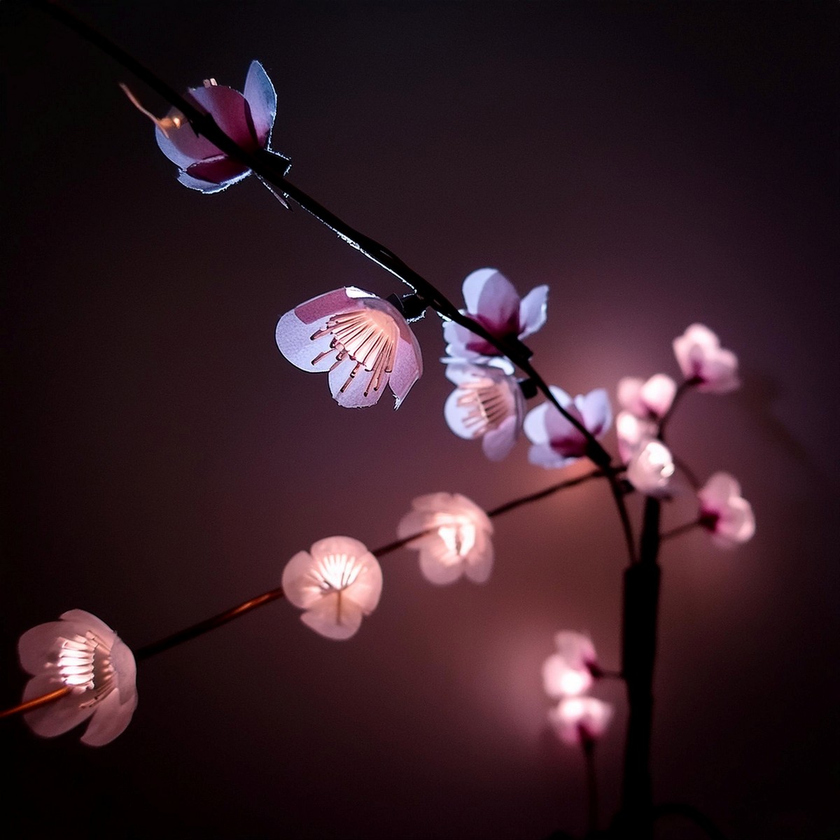 Cherry Blossom Lights Idea