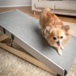 DIY Adjustable Dog Ramp