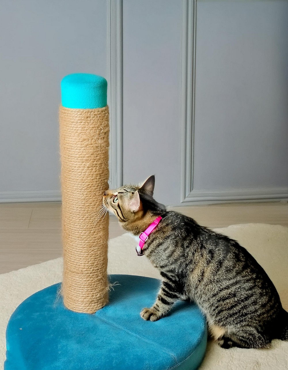 DIY Cat Scratching Post Idea