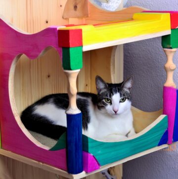 DIY Pine Wood Cat House
