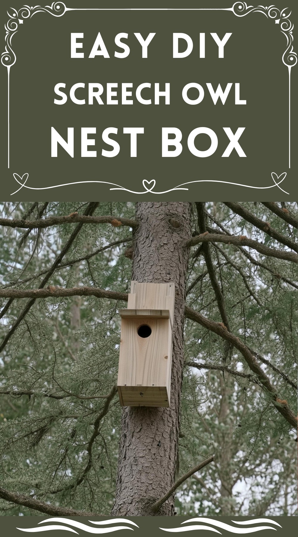 DIY Screech Owl Nest Box