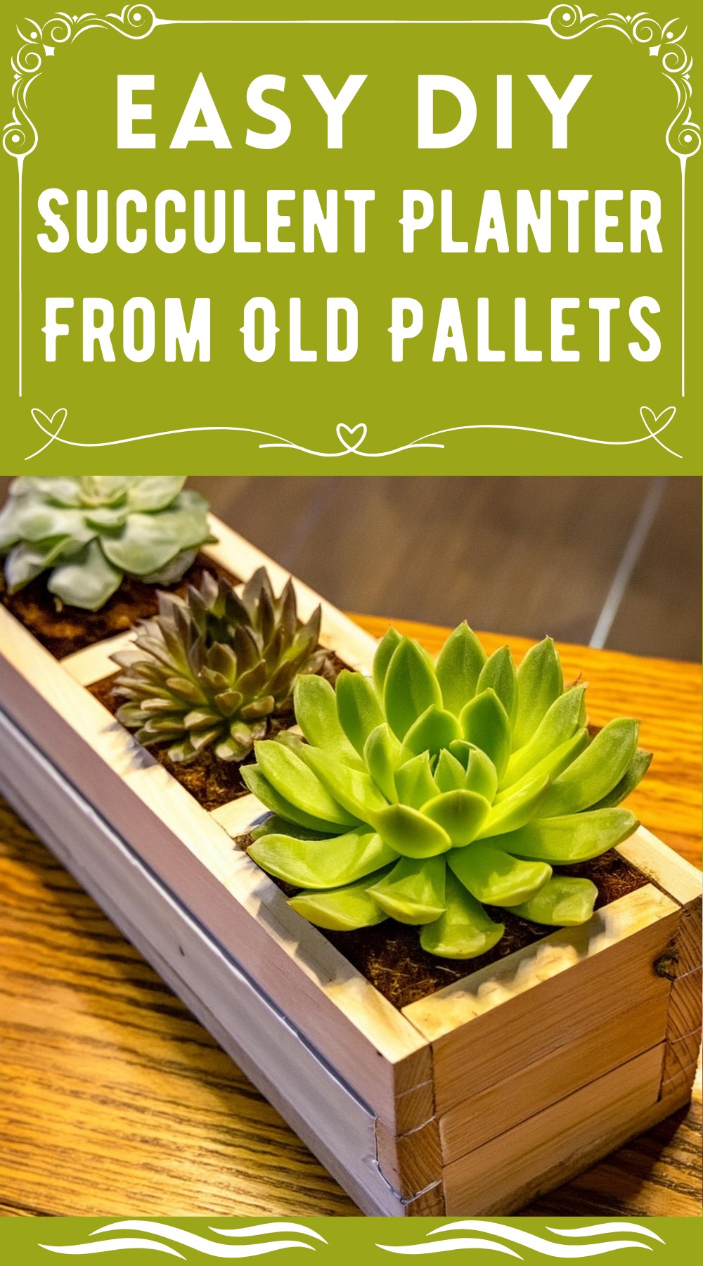 DIY Succulent Planter From Old Pallets