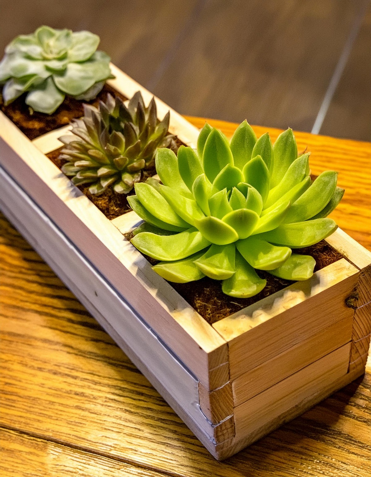 DIY Succulent Planter From Old Pallets