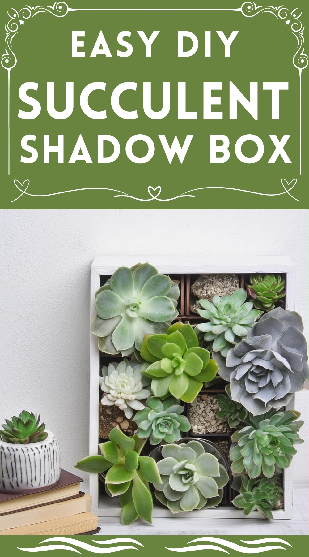 DIY Succulent Shadow Box