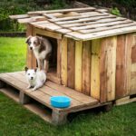DIY a Doghouse With Palletwood