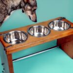 Dog Bowl Stand