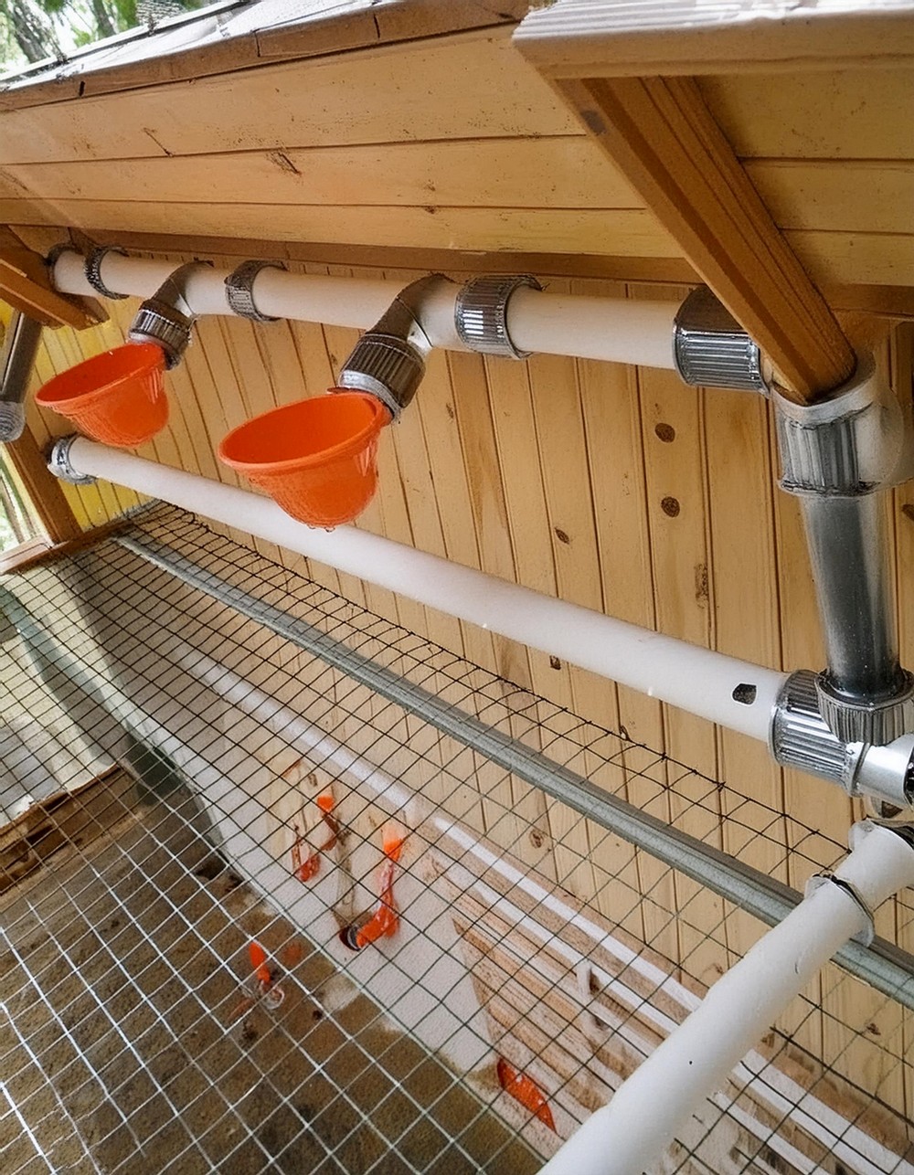 Feeders and Water System