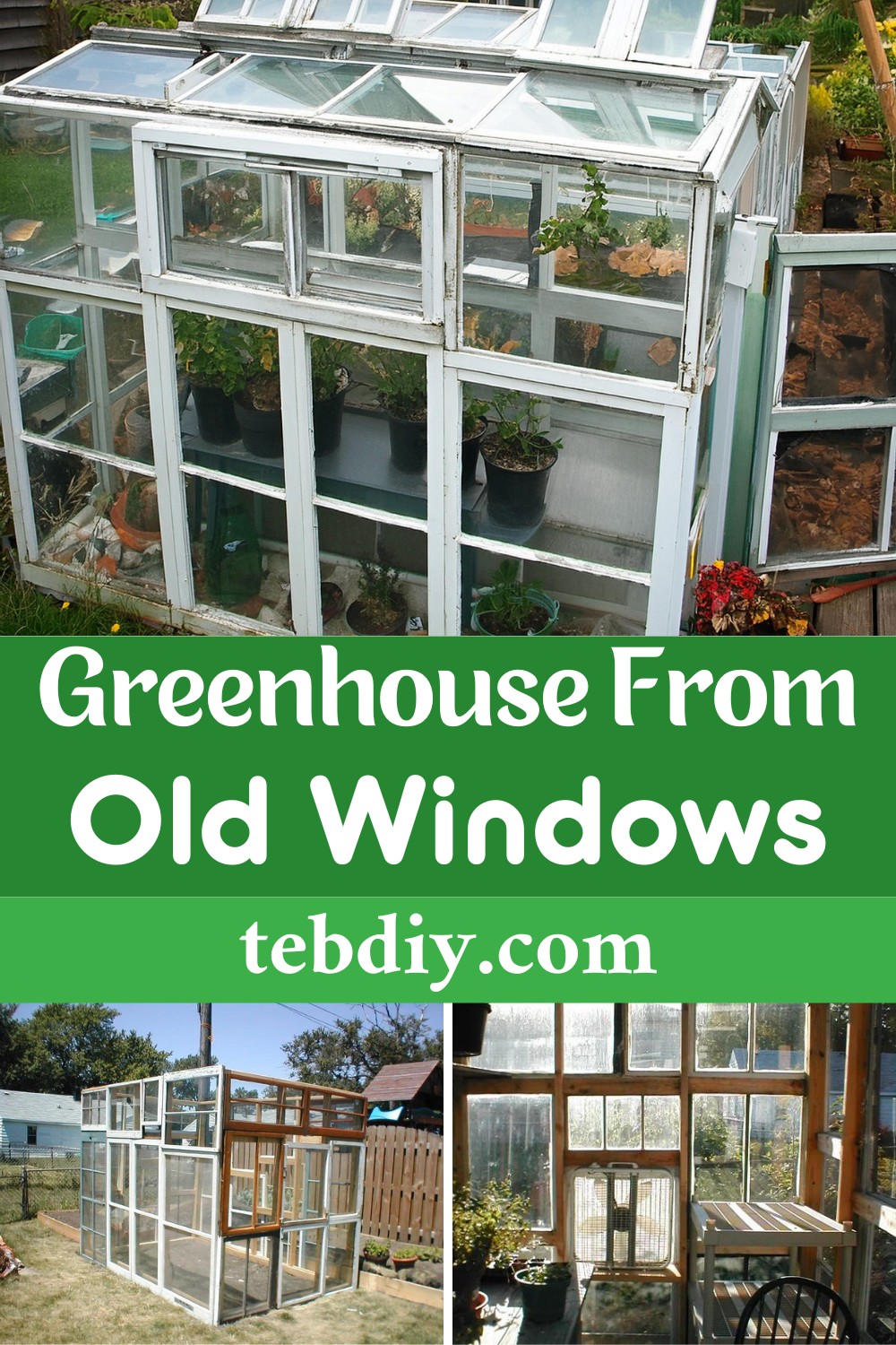 Greenhouse From Old Windows
