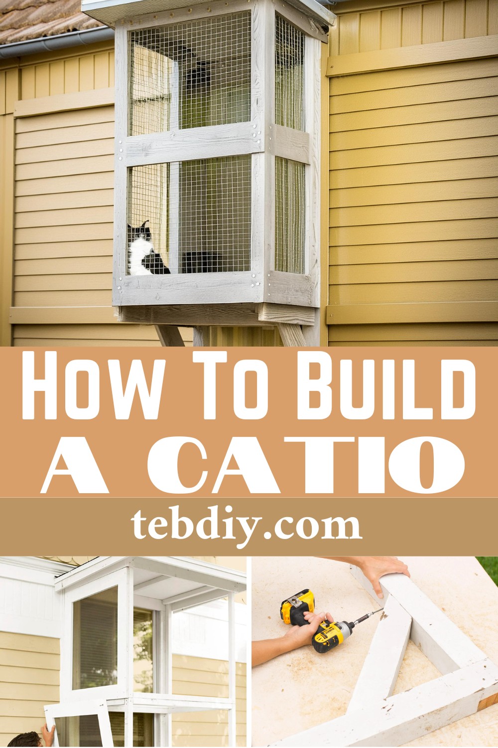 How To Build A Catio For Felines To Play