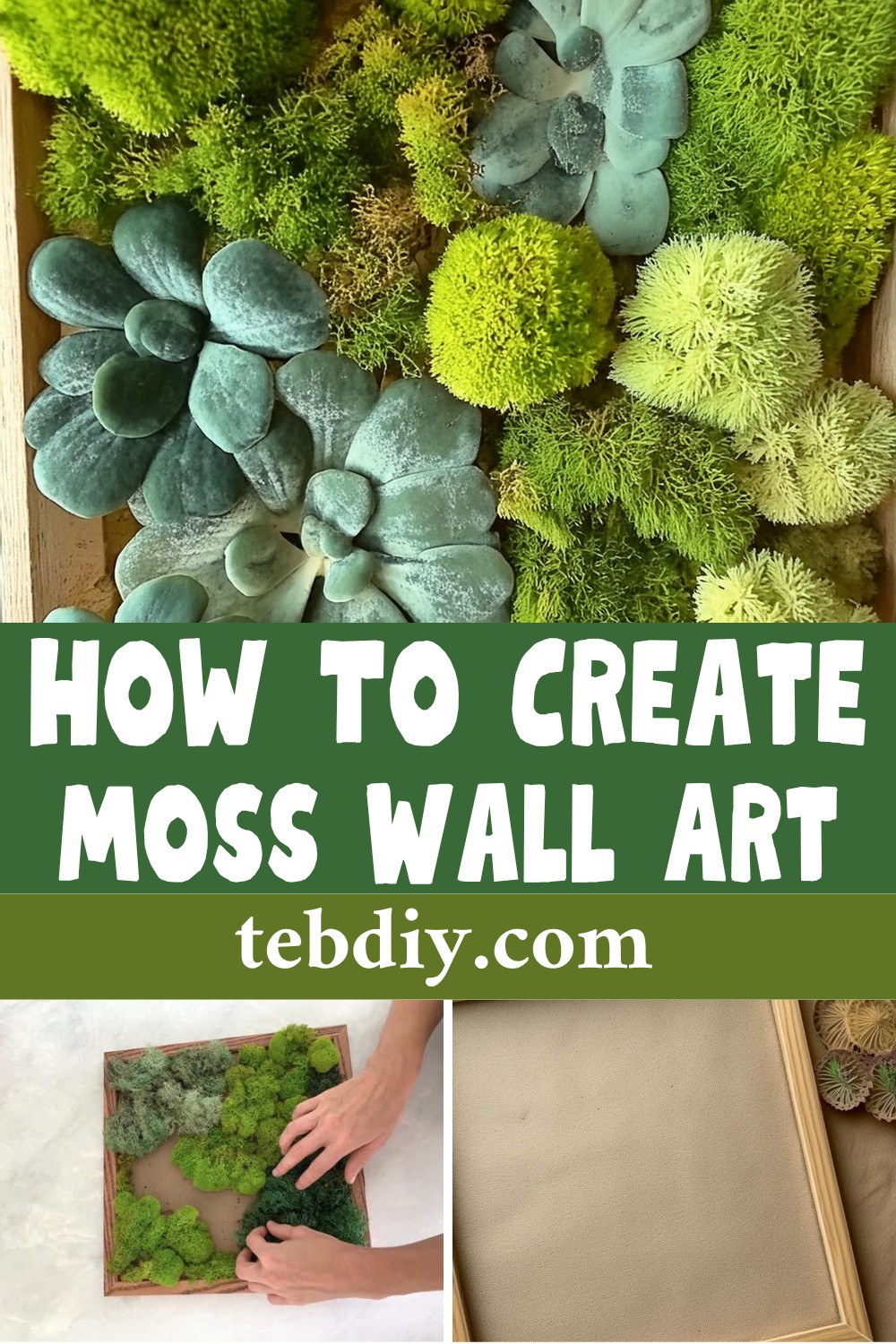 How To Create A DIY Moss Wall Art