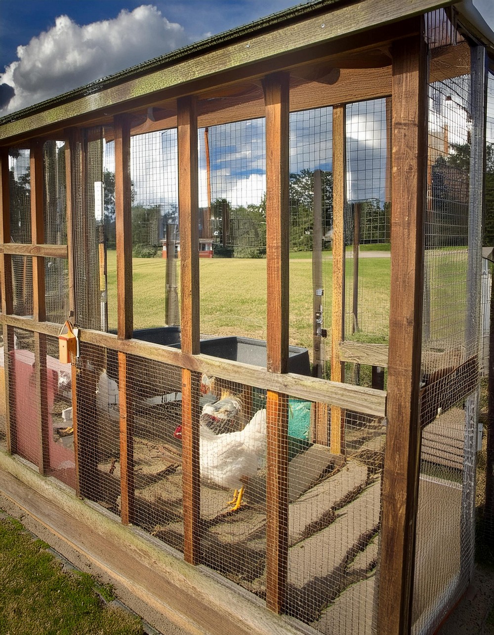 Palace Chicken Coop