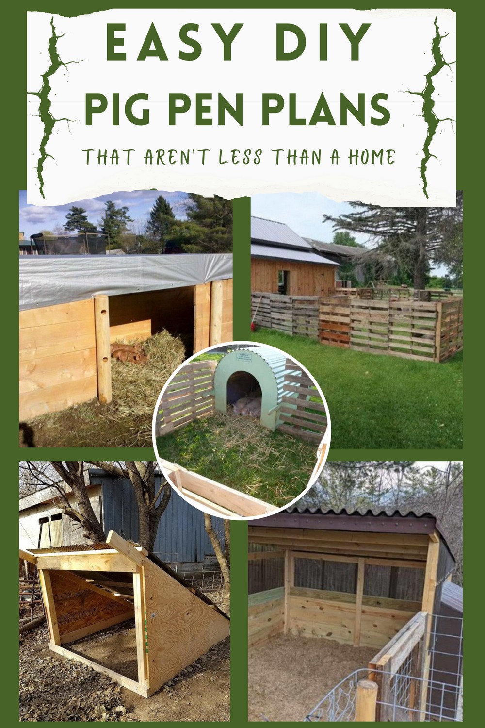 DIY Pig Pen Plans That Aren’t Less Than A Home