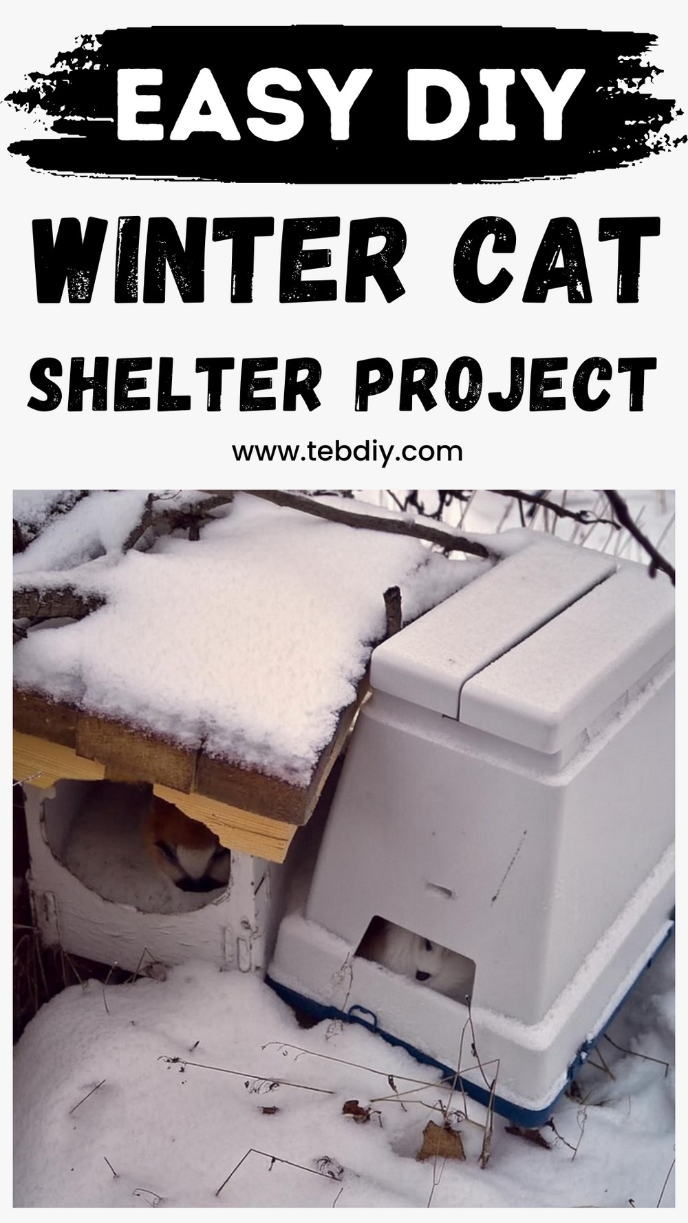 Easy DIY Winter Cat Shelter Project