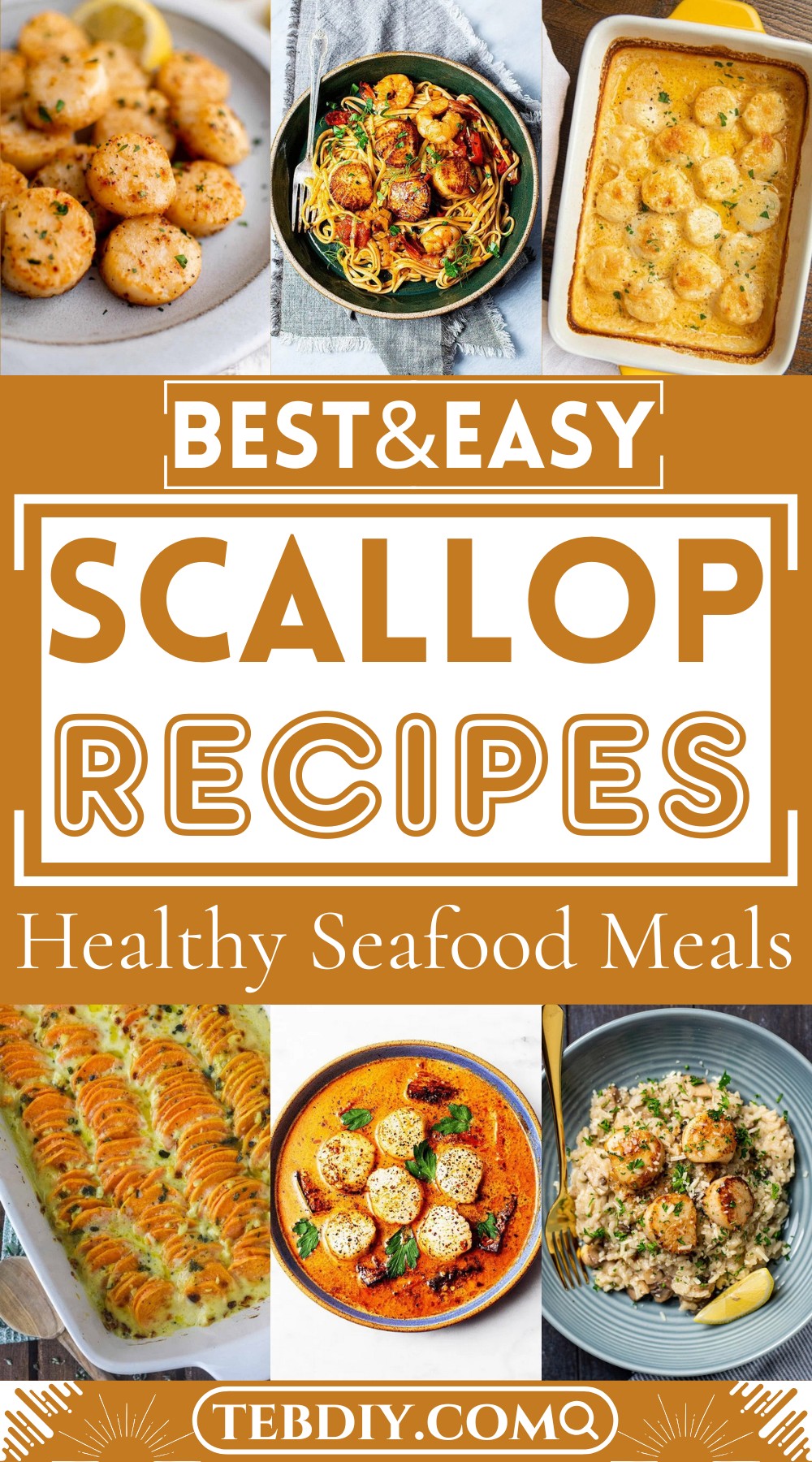 Easy Scallop Recipes – Healthy Seafood Meals