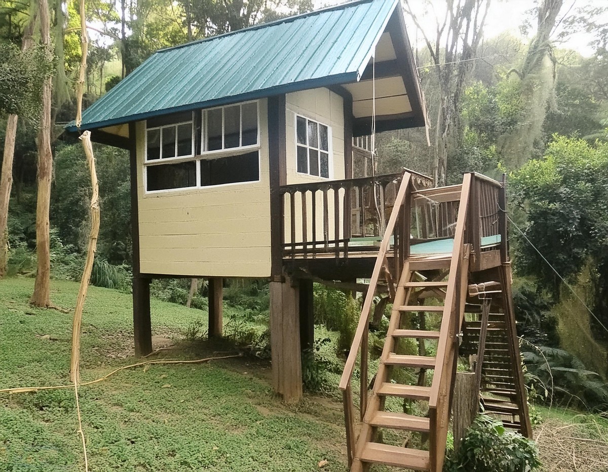 Backyard Treehouse With Zip Line 1