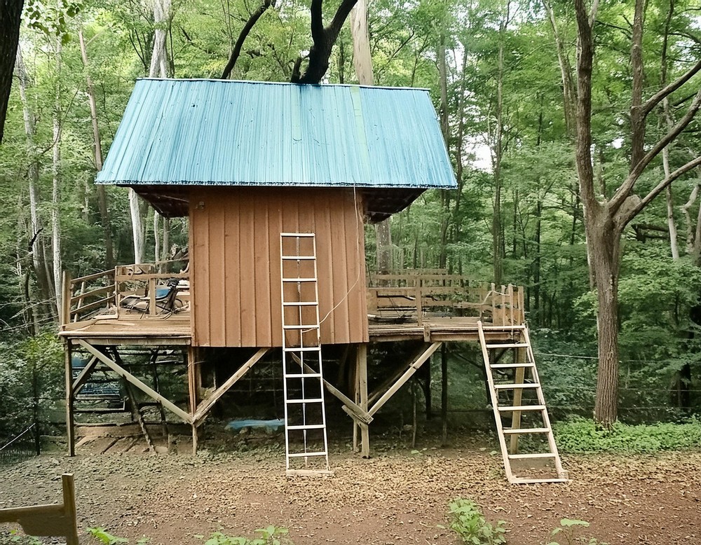 Backyard Treehouse With Zip Line 2