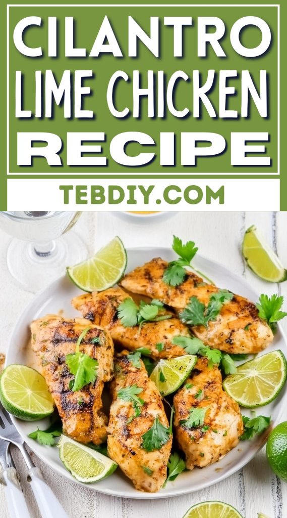 Sizzling Cilantro Lime Chicken Recipe - Teb Diy