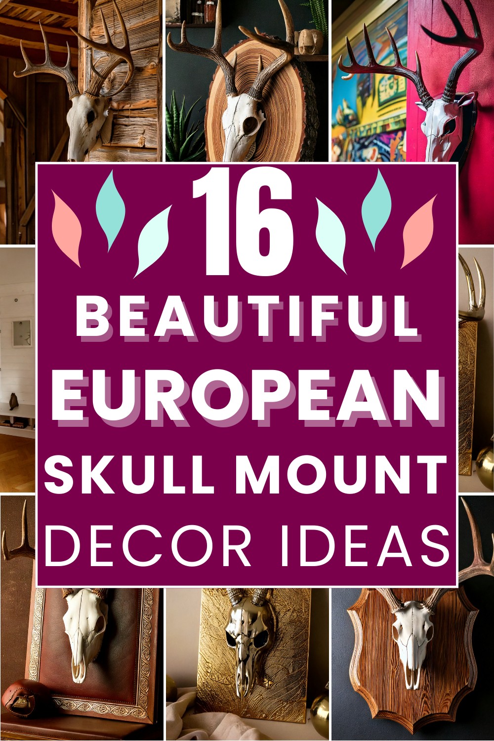 Beautiful EuropeanSkull Mount Ideas