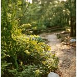 Go Native with Your Plants