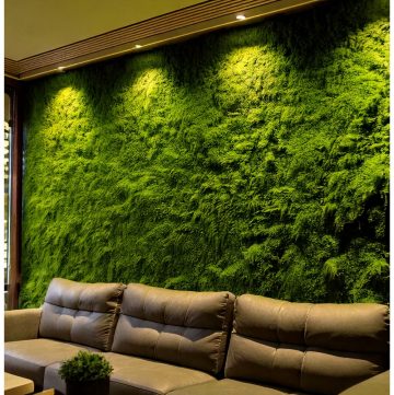Large moss walls