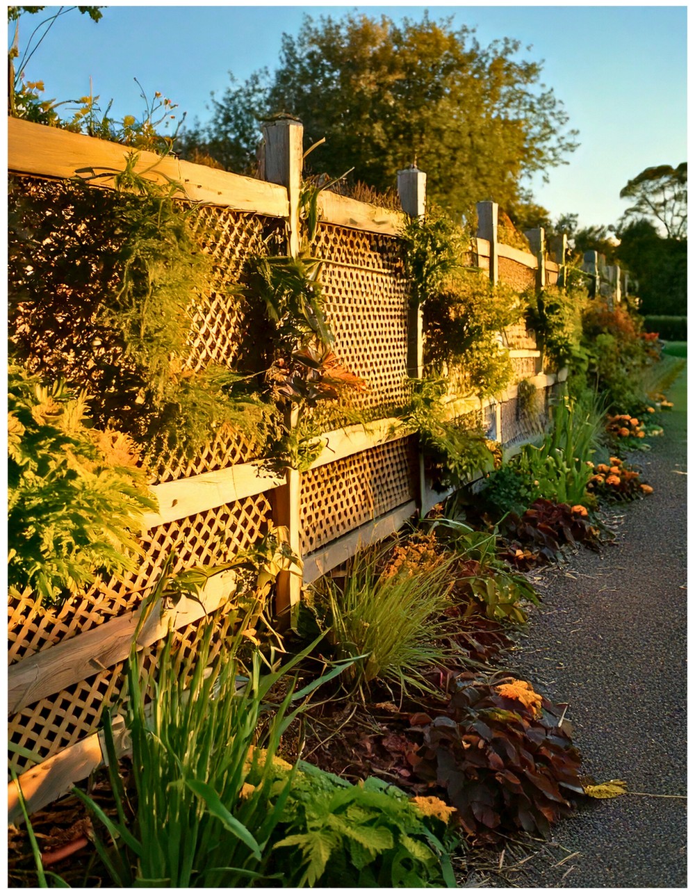 Lattice Fence – Function + Flair