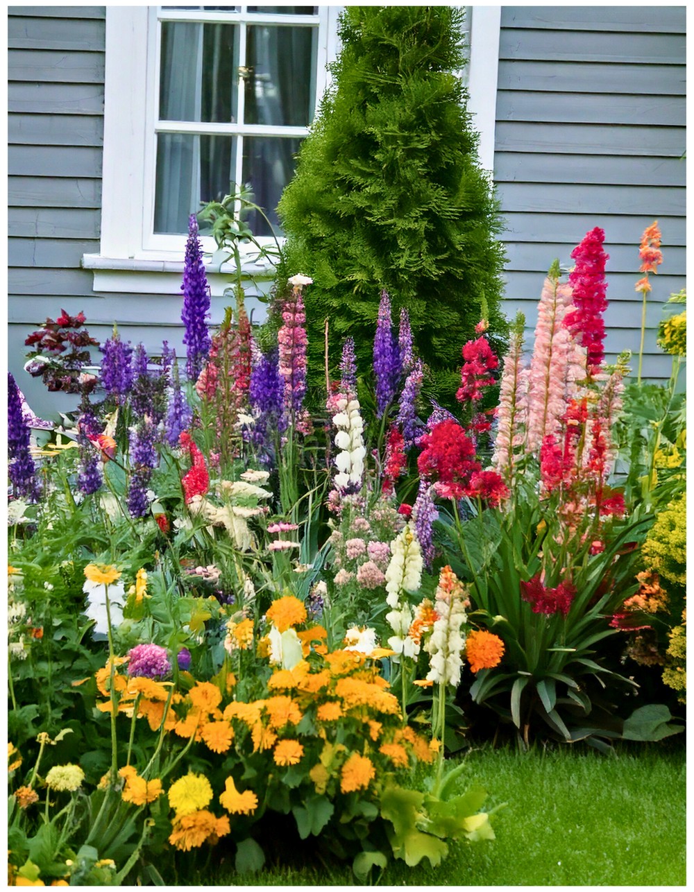 Layer Your Perennials by Height