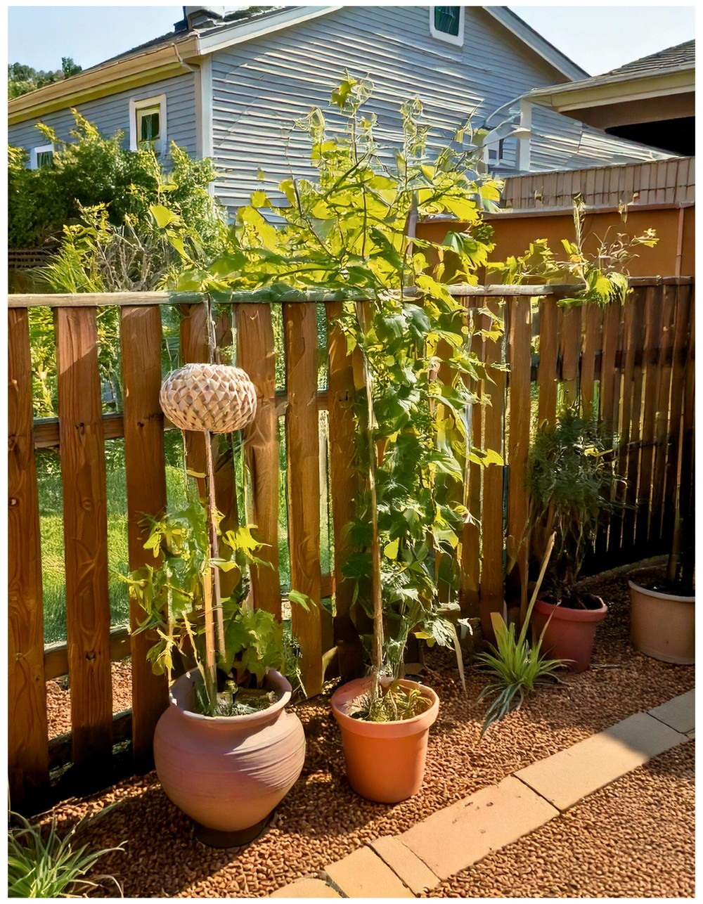 Rustic Split Rail – Country Vibe, Minimal Fuss