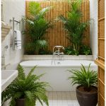 Tropical Plants