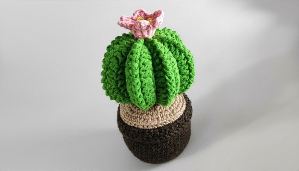 Easy Crochet Cactus Pattern 2