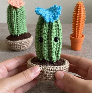 Cactus Amigurumi