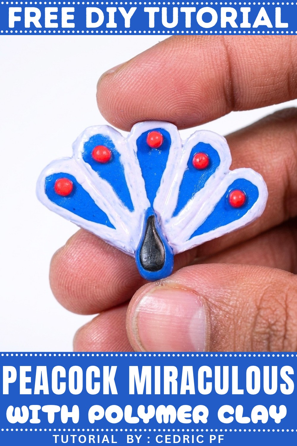 How to Make the Peacock Miraculous (1)